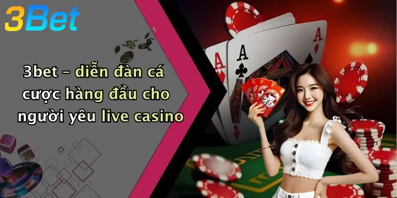 3bet – diễn đàn cá cược hàng đầu cho người yêu live casino
